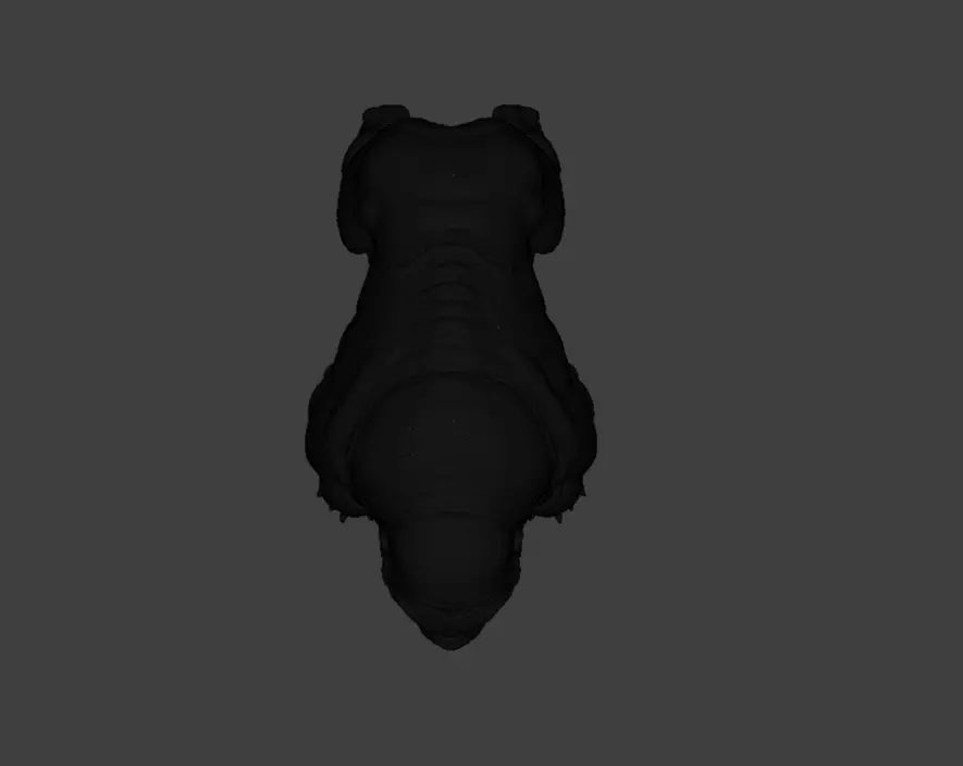 Mutated Quadruped Creature Low-poly 3D model_28