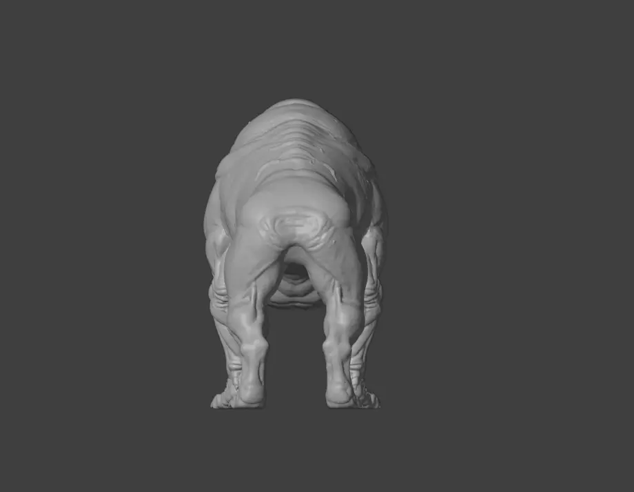 Mutated Quadruped Creature Low-poly 3D model_20