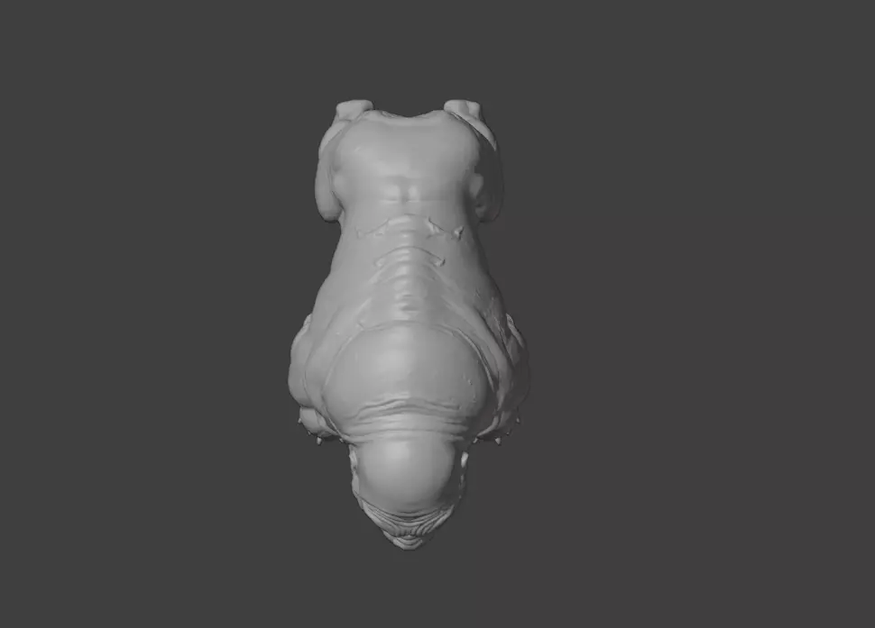 Mutated Quadruped Creature Low-poly 3D model_22