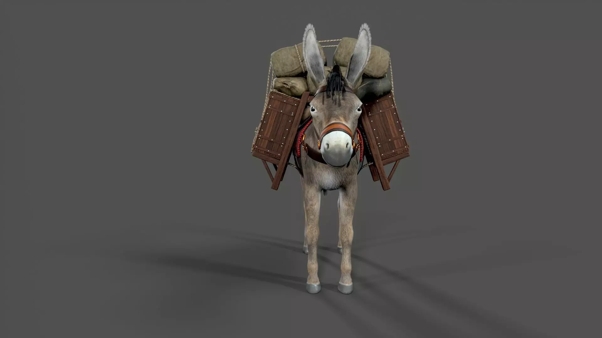 donkey Low-poly 3D model_4