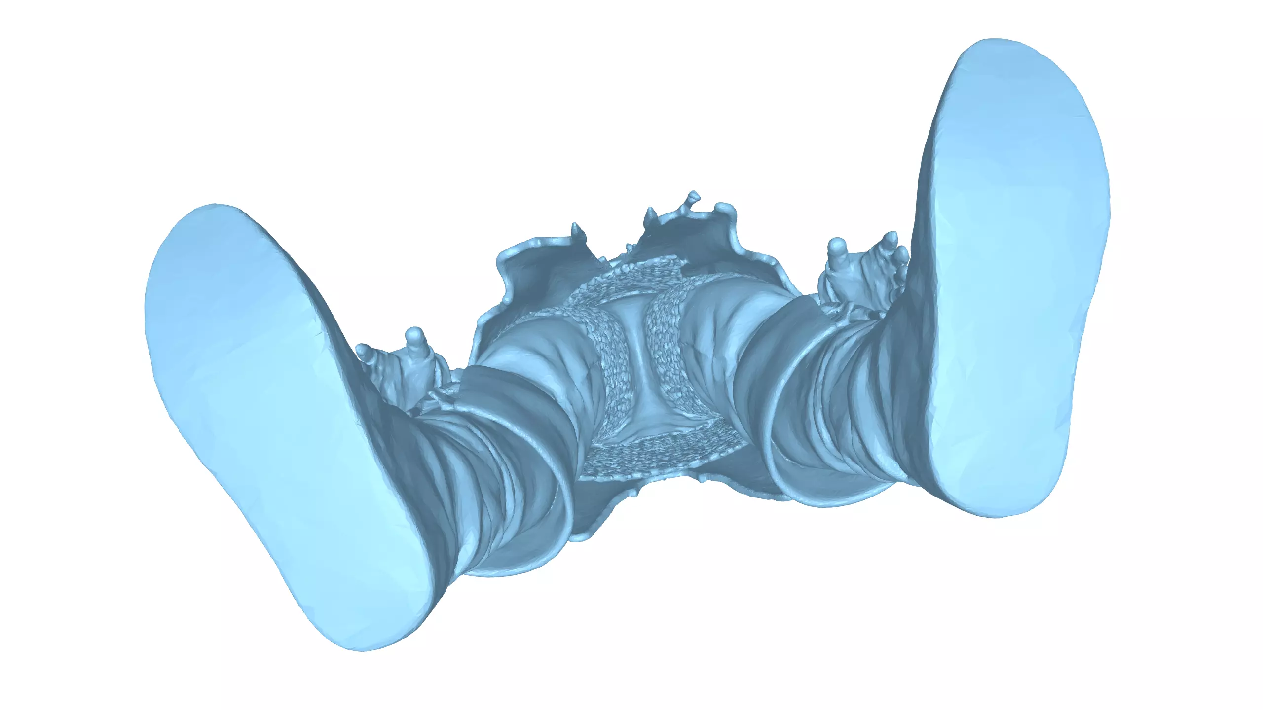 Medieval King Character Realistic 3D Model 3D model_14