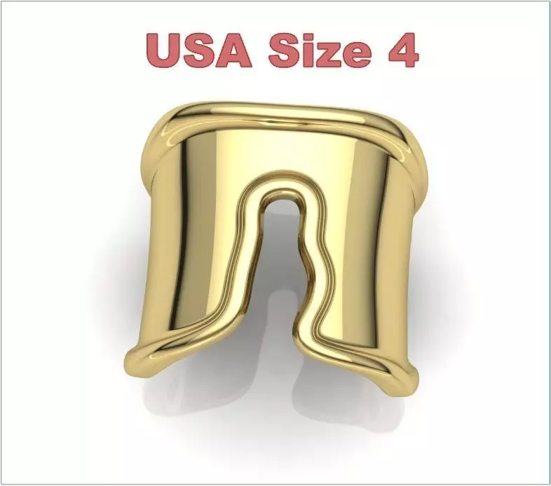 Split Ring Size 4 3D print model