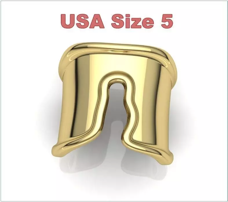 Split Ring Size 5 3D print model