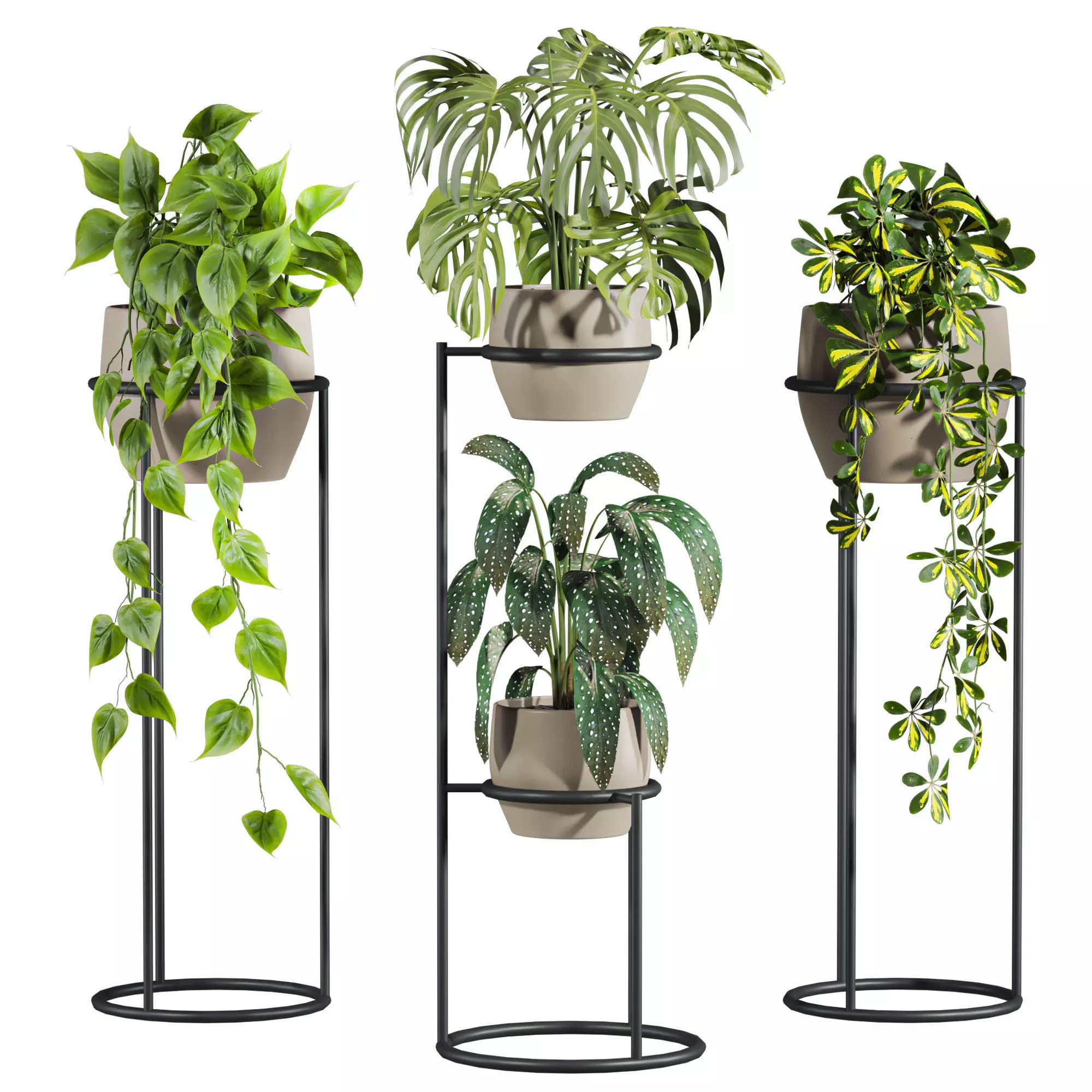 Potted Plants 3D model_0