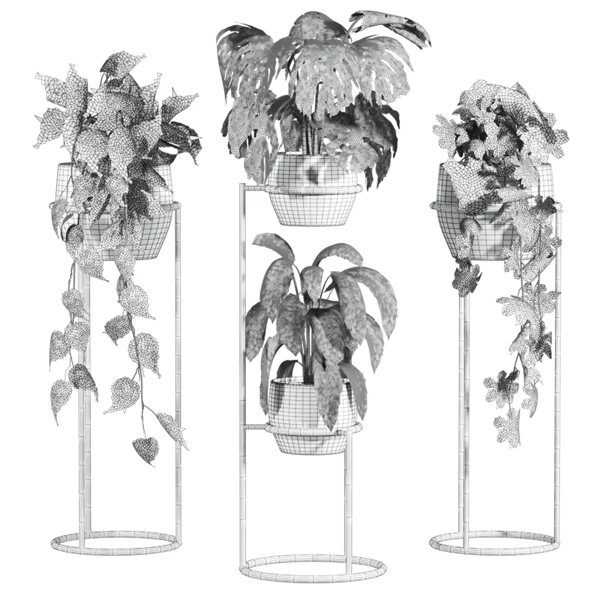 Potted Plants 3D model_3