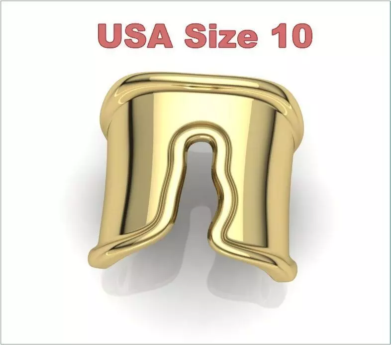 Split Ring Size 10 3D print model