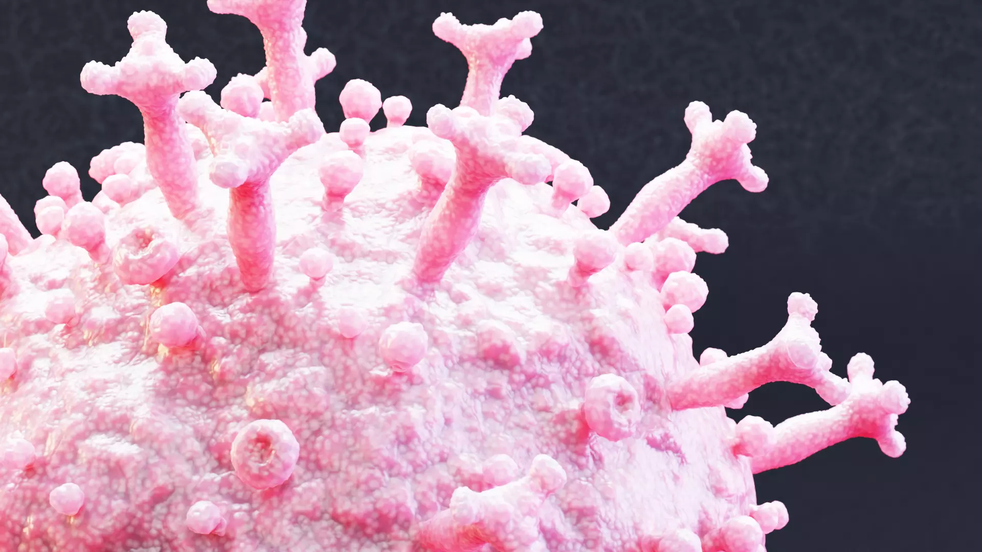 -Covid-19 Model - Pink- 3D model_3