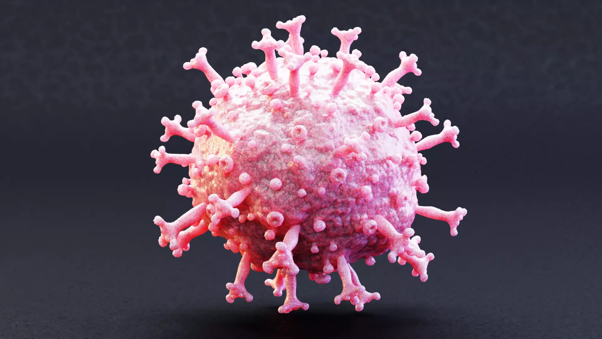 -Covid-19 Model - Pink- 3D model_0