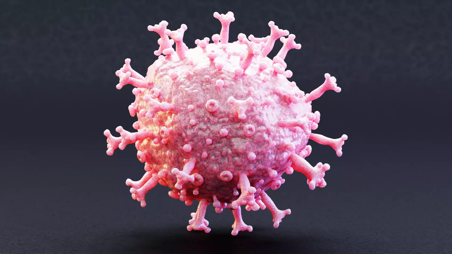 -Covid-19 Model - Pink- 3D model_1