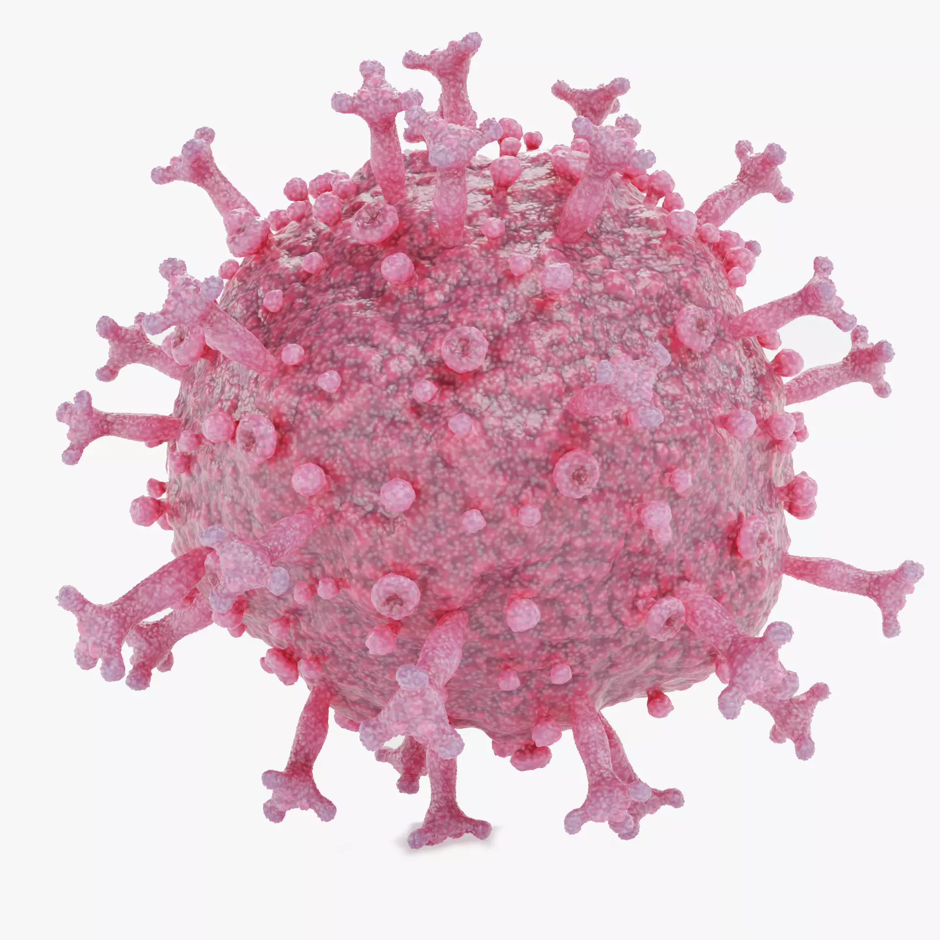 -Covid-19 Model - Pink- 3D model_11