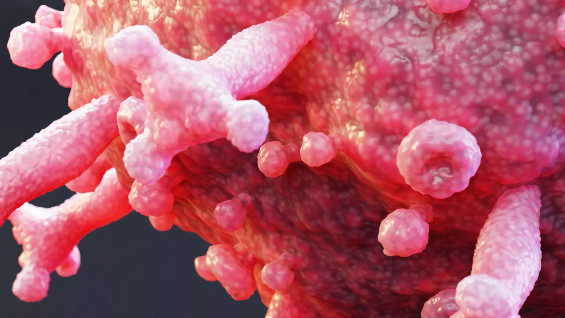 -Covid-19 Model - Pink- 3D model_5