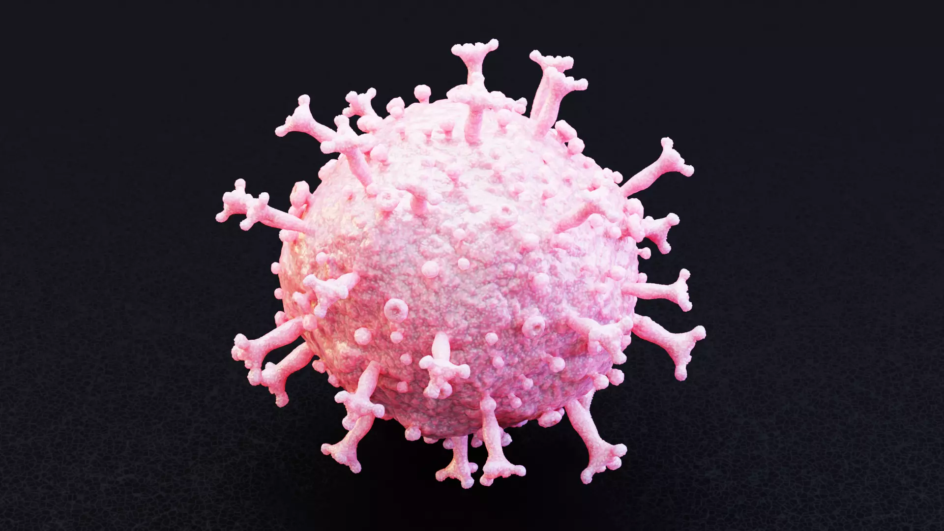 -Covid-19 Model - Pink- 3D model_2