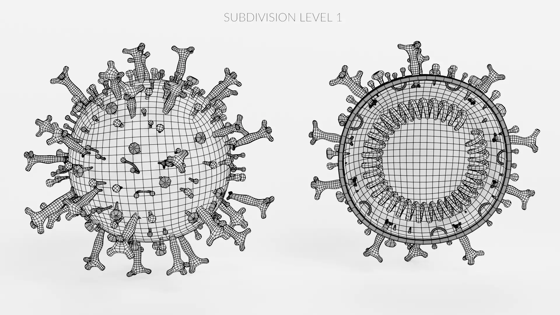 -Covid-19 Full Model and Structure Model- 3D model_13