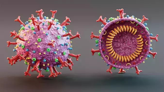 Full and Cross-Section Coronavirus Model Set