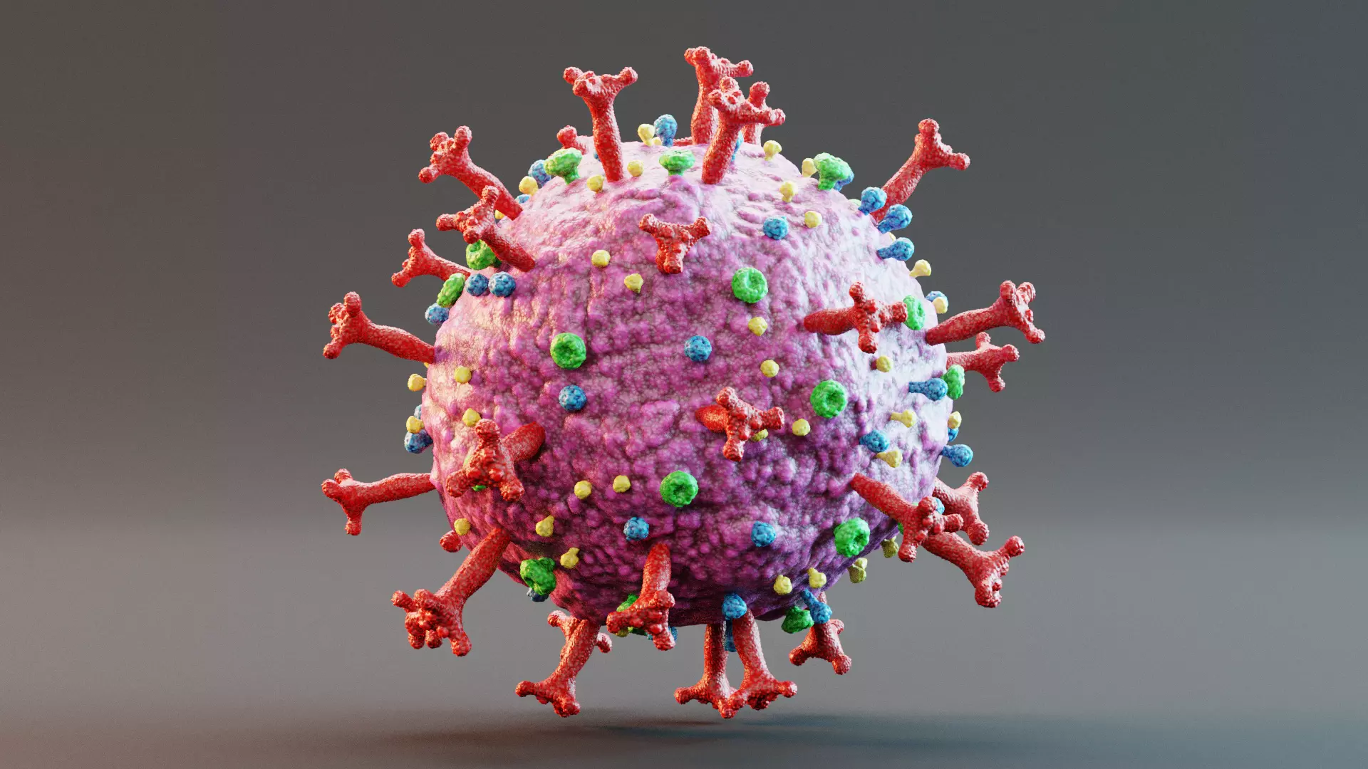 -Covid-19 Full Model and Structure Model- 3D model_6