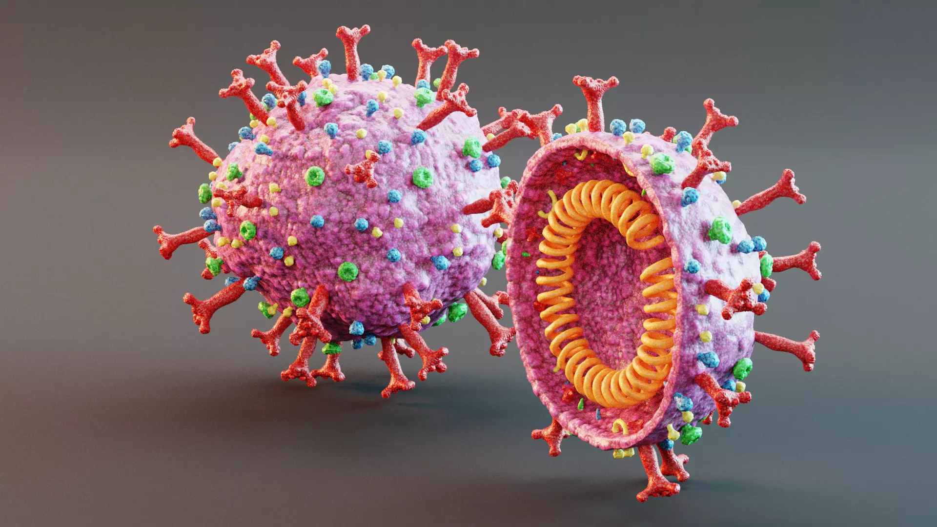 -Covid-19 Full Model and Structure Model- 3D model_4