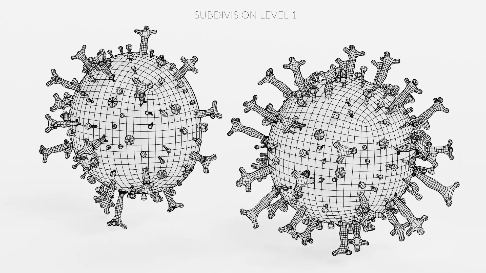 -Covid-19 Full Model and Structure Model- 3D model_15