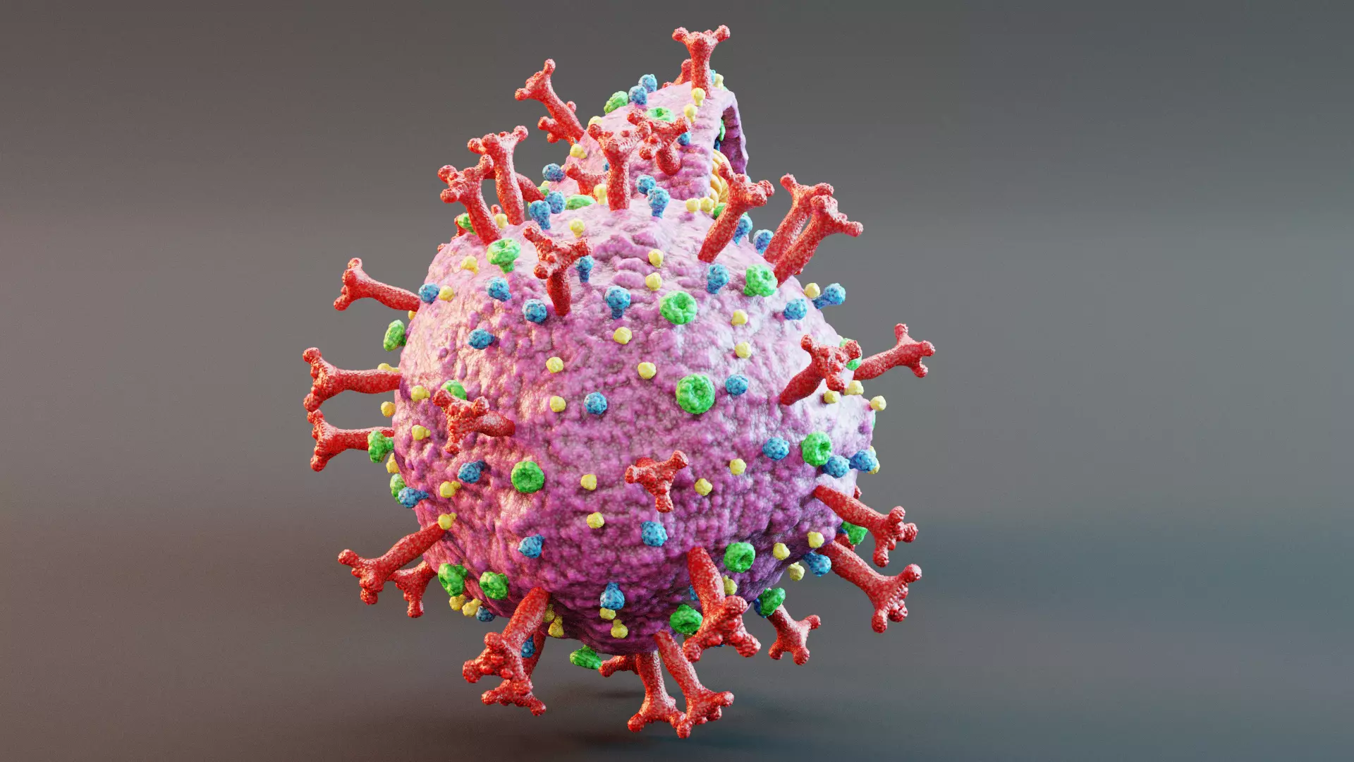 -Covid-19 Full Model and Structure Model- 3D model_2