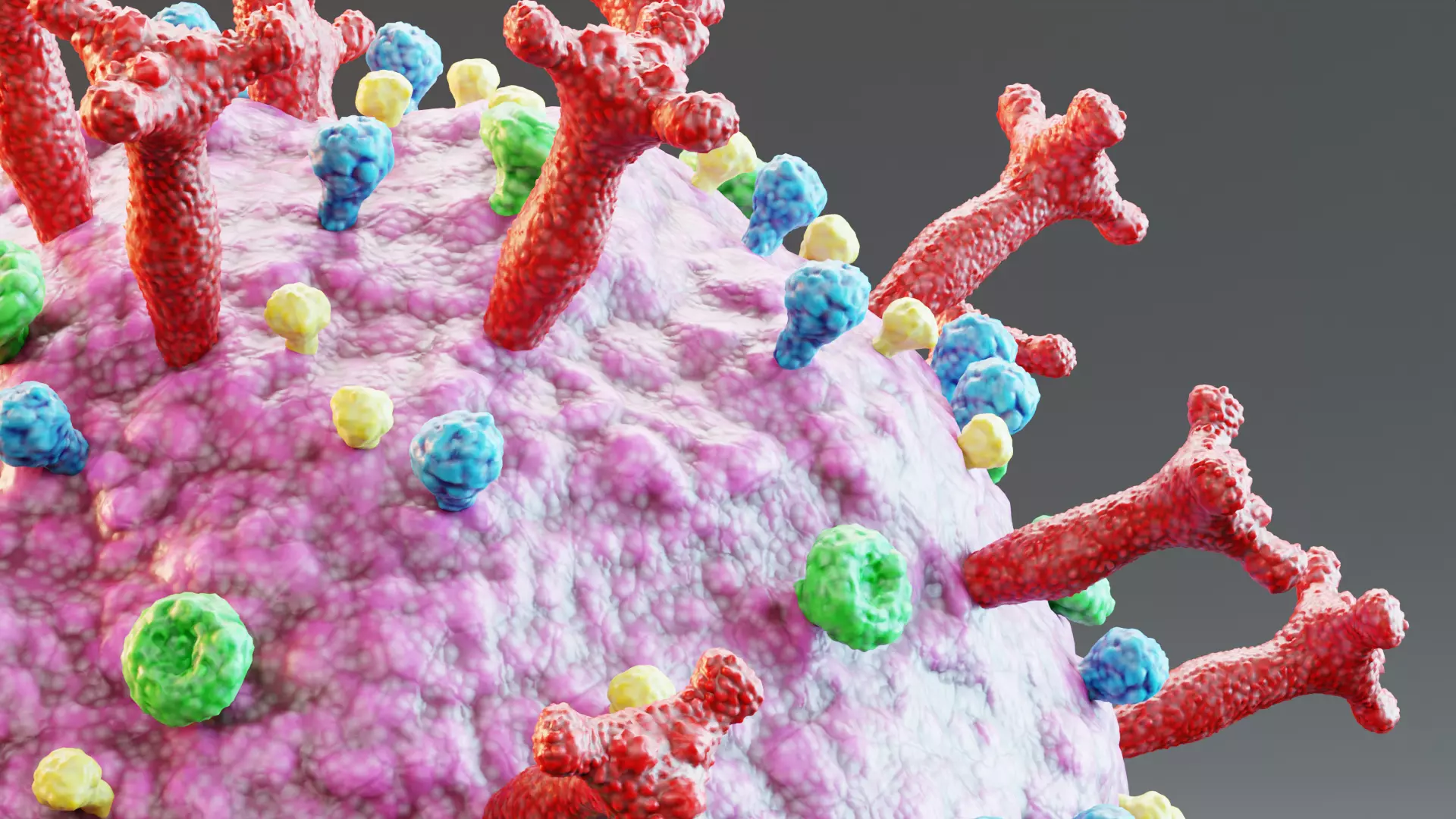 -Covid-19 Full Model and Structure Model- 3D model_7