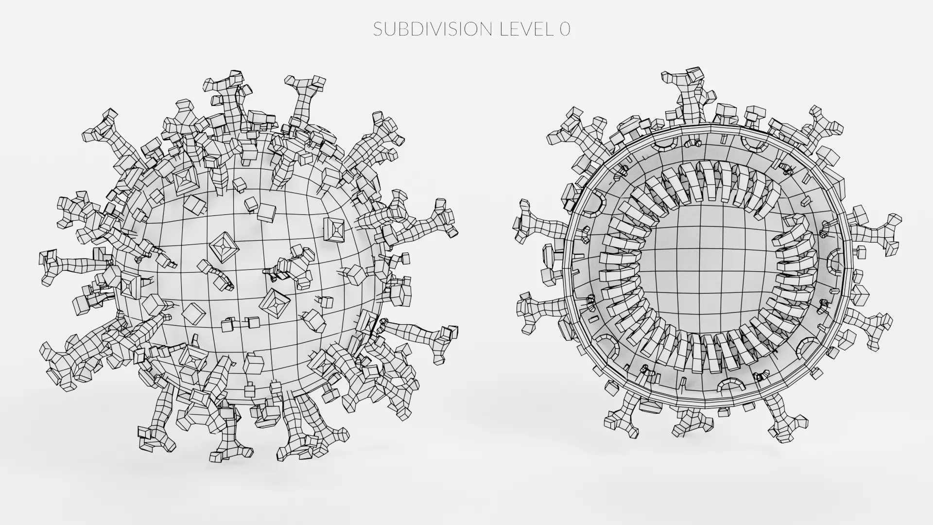 -Covid-19 Full Model and Structure Model- 3D model_12
