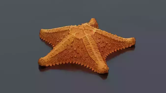 Starfish