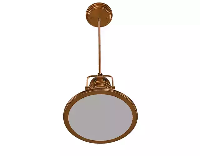 Westinghouse Lighting Boswell