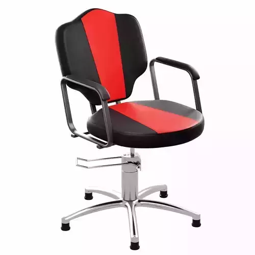 Salon Chair
