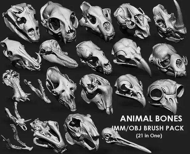 Animal Bones Collection IMM Stl Obj Brush Pack 21 in One Vol 1