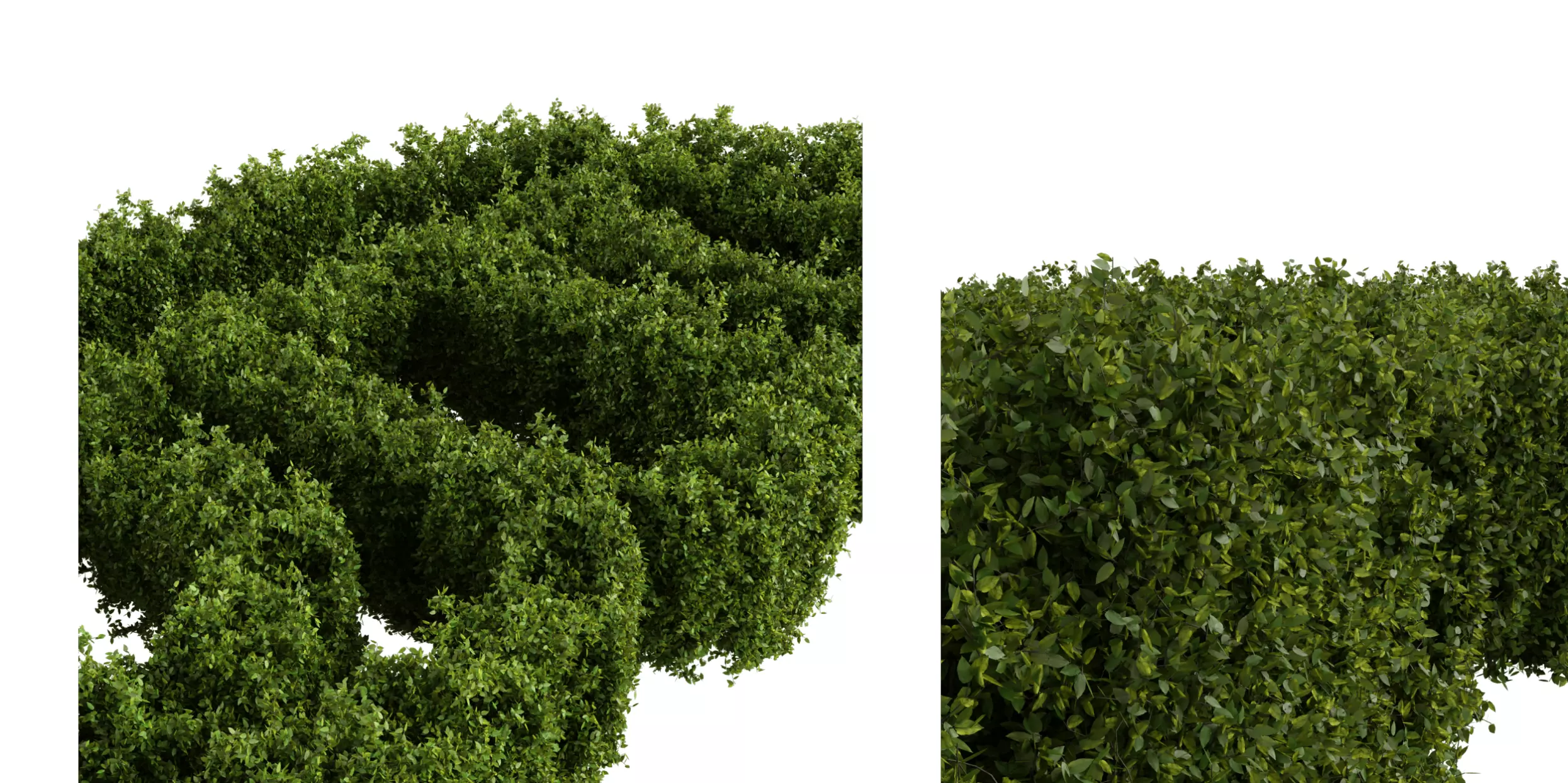 Rough Hedge 1m Free low-poly 3D model_0