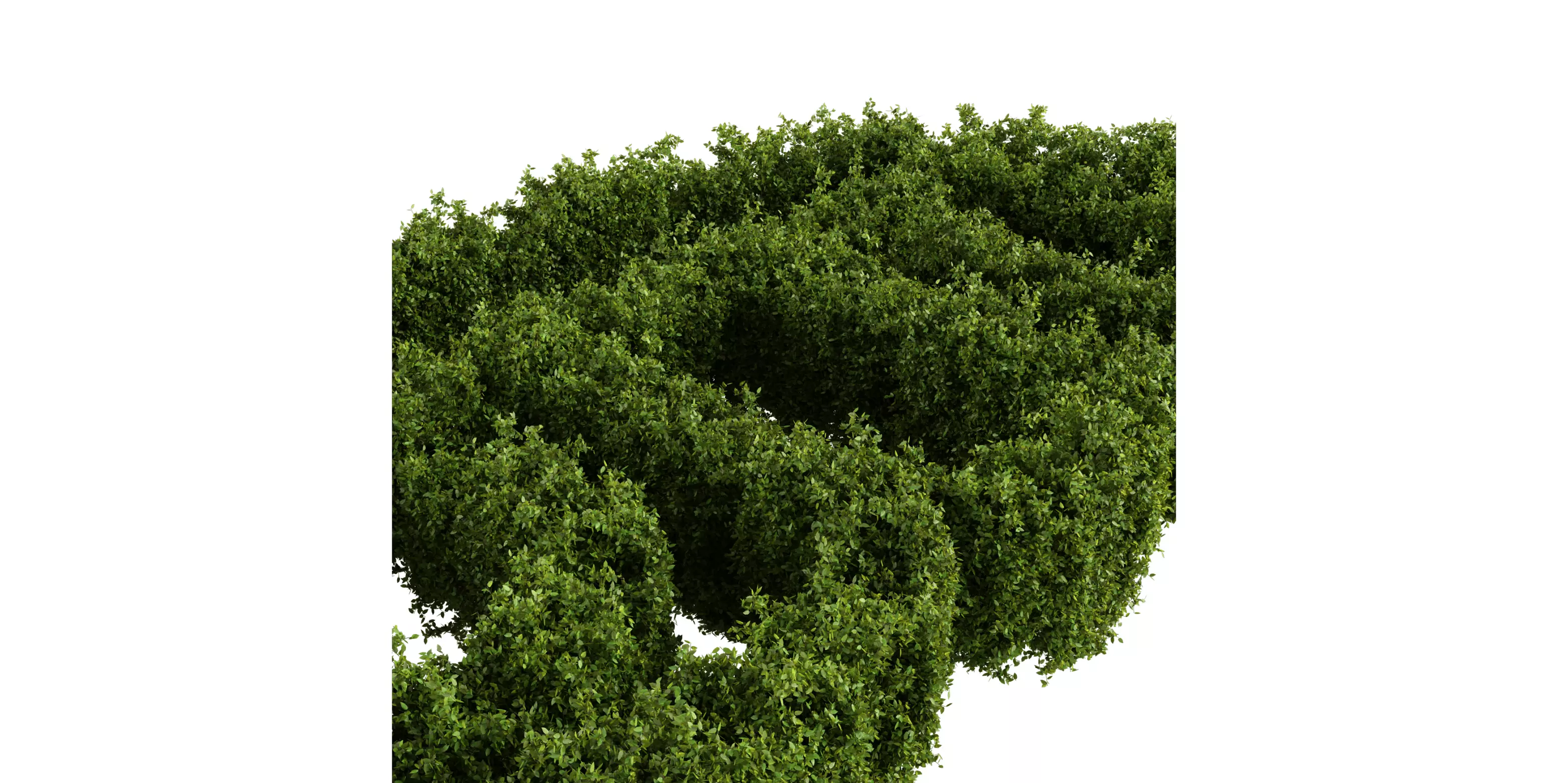 Rough Hedge 1m Free low-poly 3D model_2
