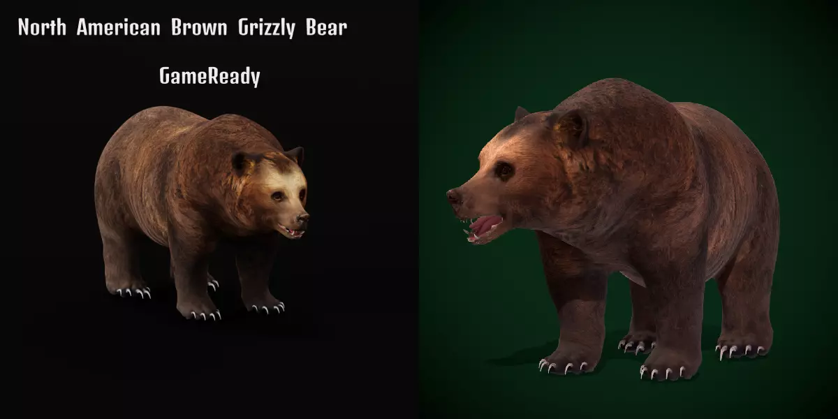 Grizzly Brown Bear Free low-poly 3D model_1
