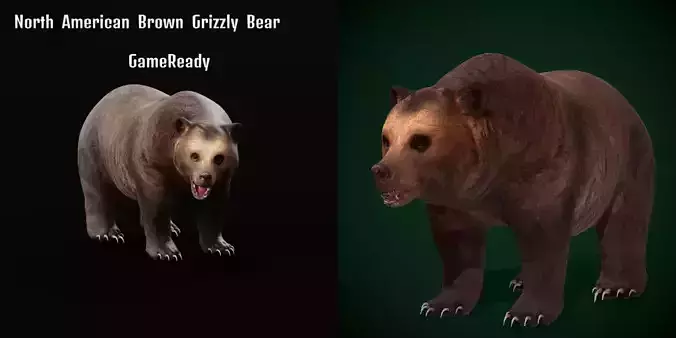 Grizzly Brown Bear