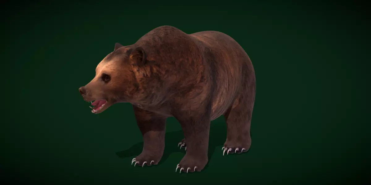 Grizzly Brown Bear Free low-poly 3D model_2