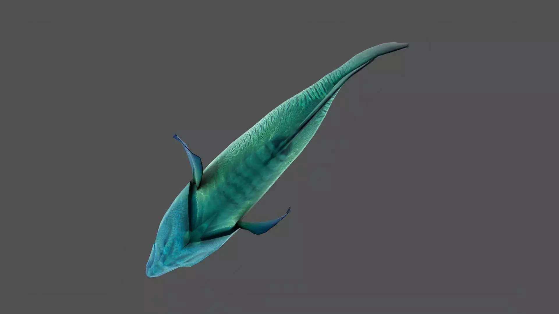 Napoleon fish Low-poly 3D model_4
