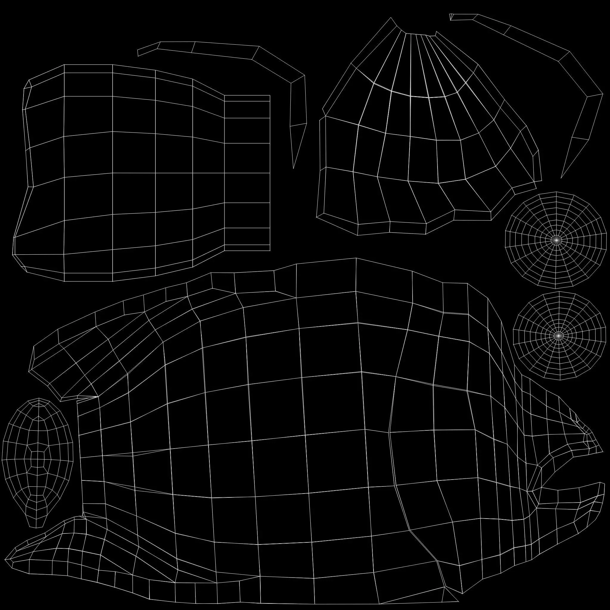 Napoleon fish Low-poly 3D model_8