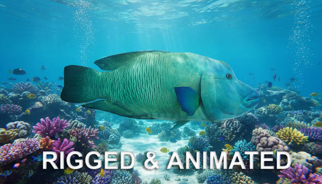 Napoleon fish Low-poly 3D model_0