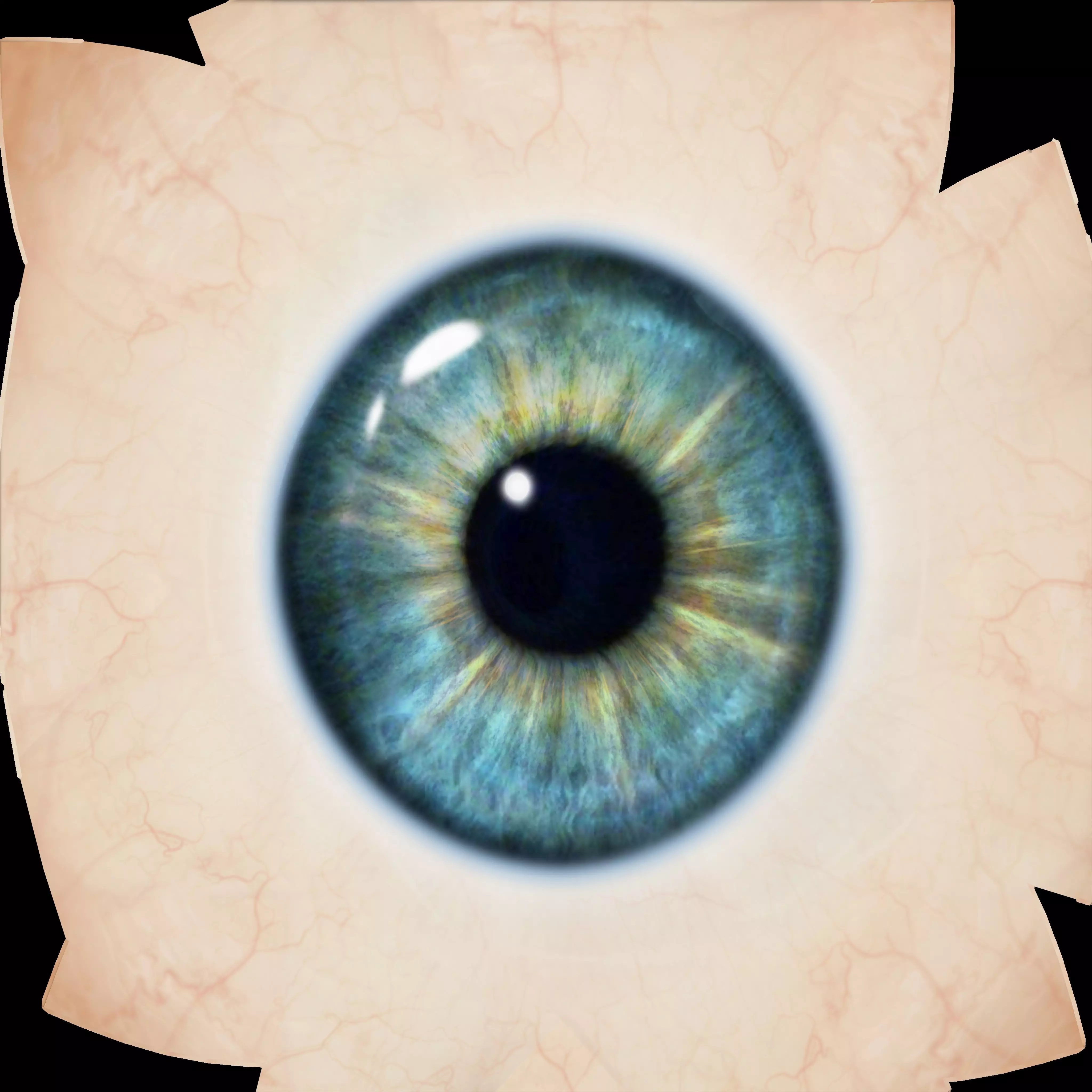 MERMAID WATER WORLD OCEAN CREATURE GINIKA AS ADAPTED Low-poly 3D model_16