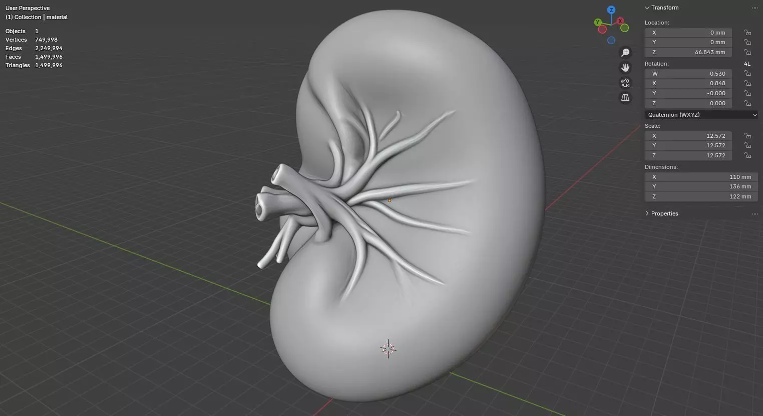 Realistic Human Spleen Anatomic organ 3D Model 3D model_16