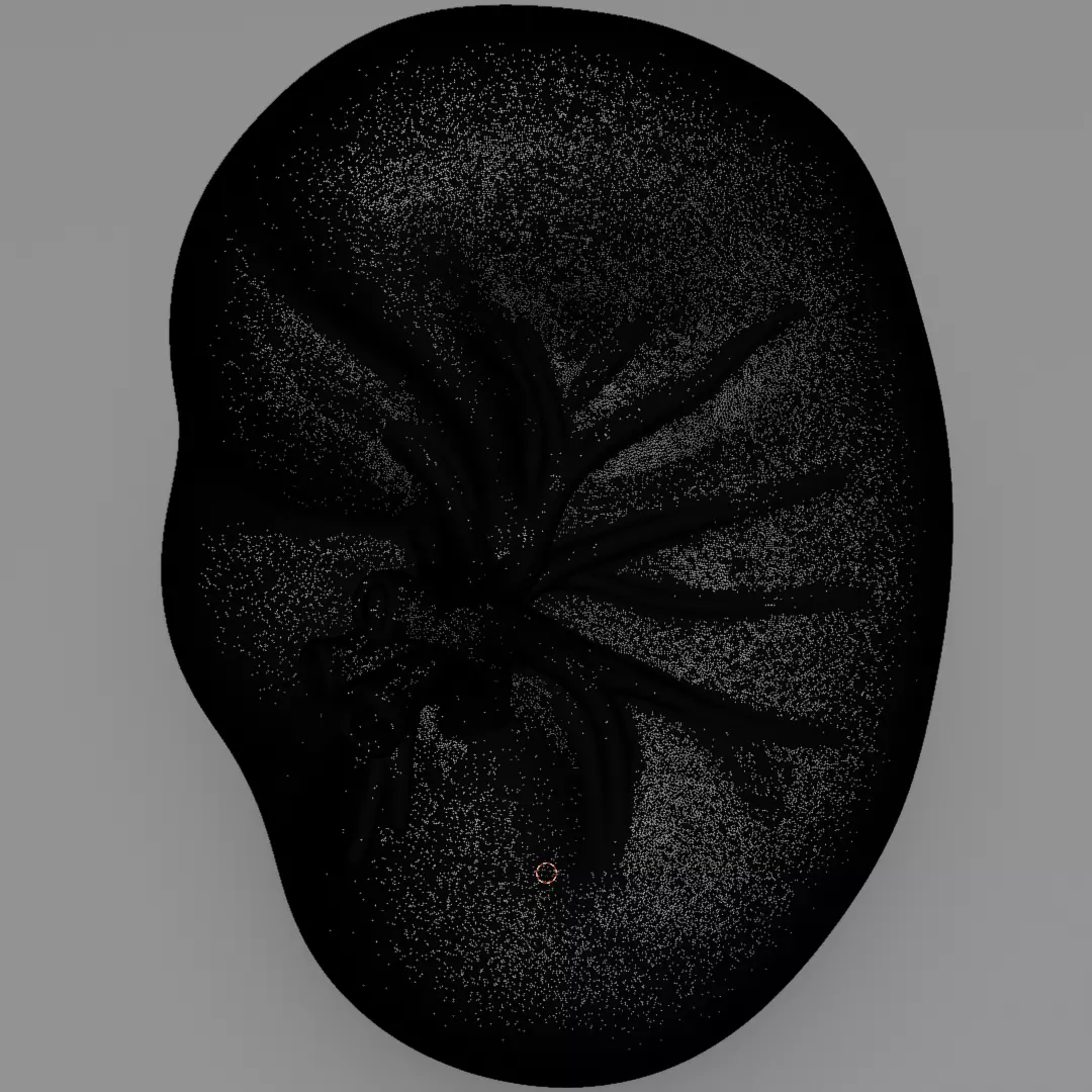 Realistic Human Spleen Anatomic organ 3D Model 3D model_11