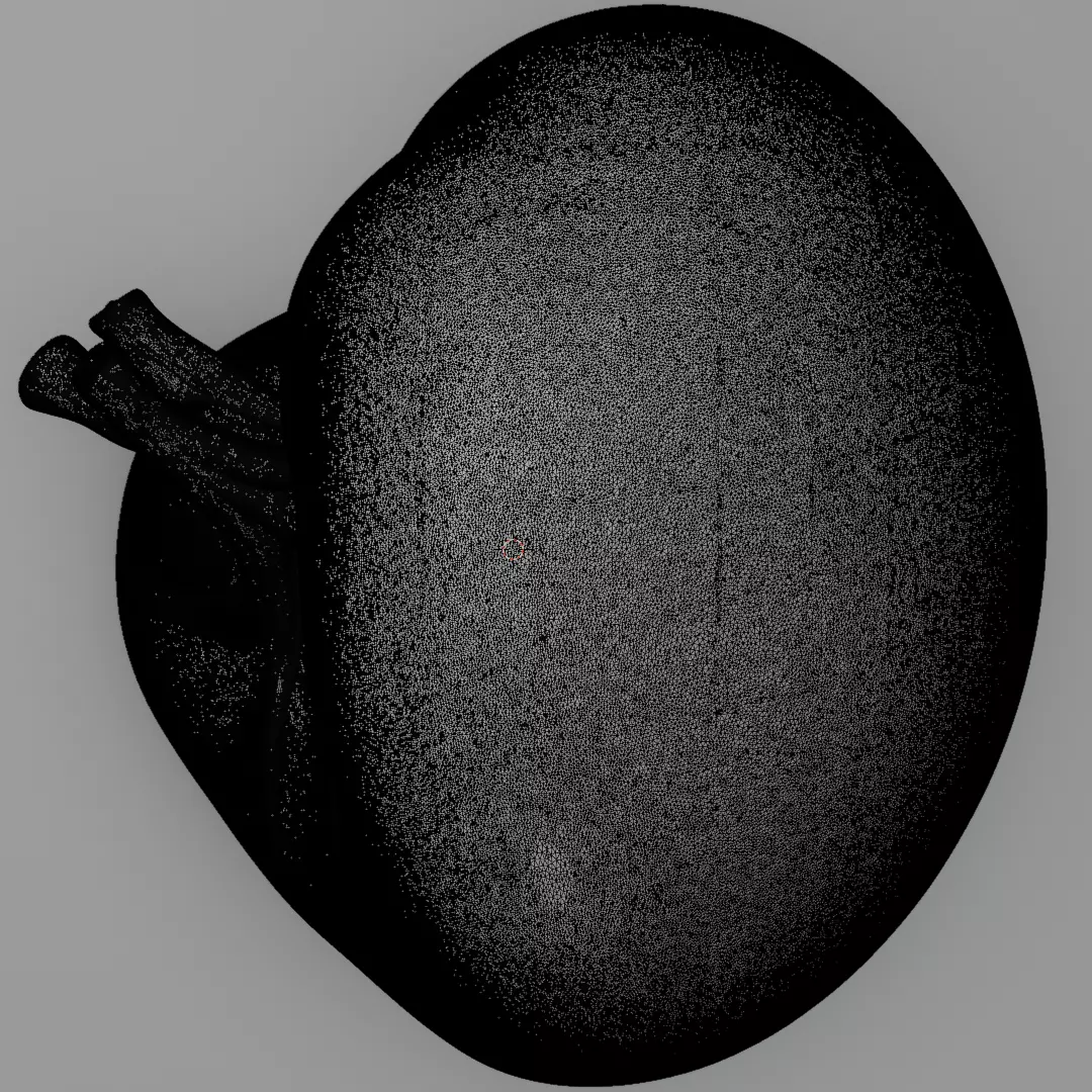 Realistic Human Spleen Anatomic organ 3D Model 3D model_12