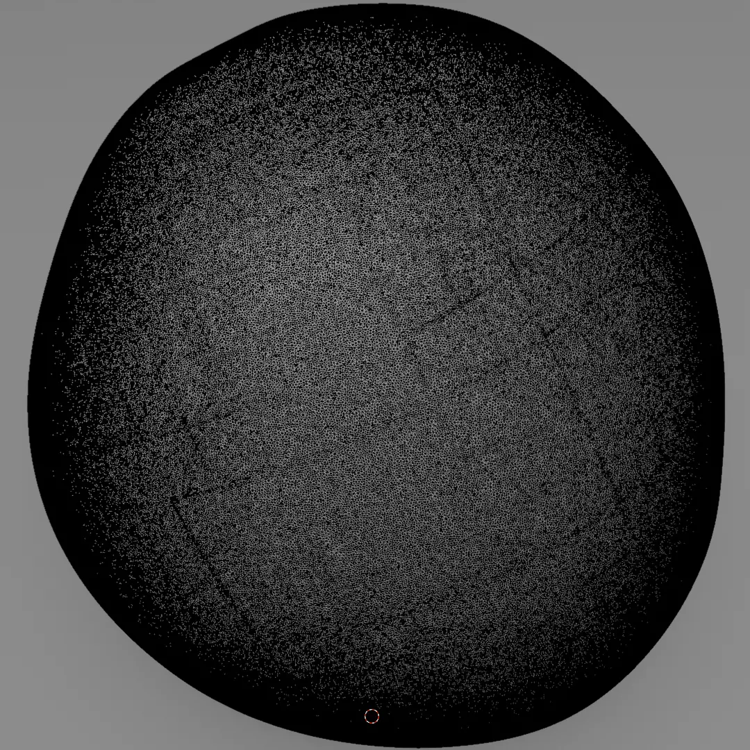 Realistic Human Spleen Anatomic organ 3D Model 3D model_15