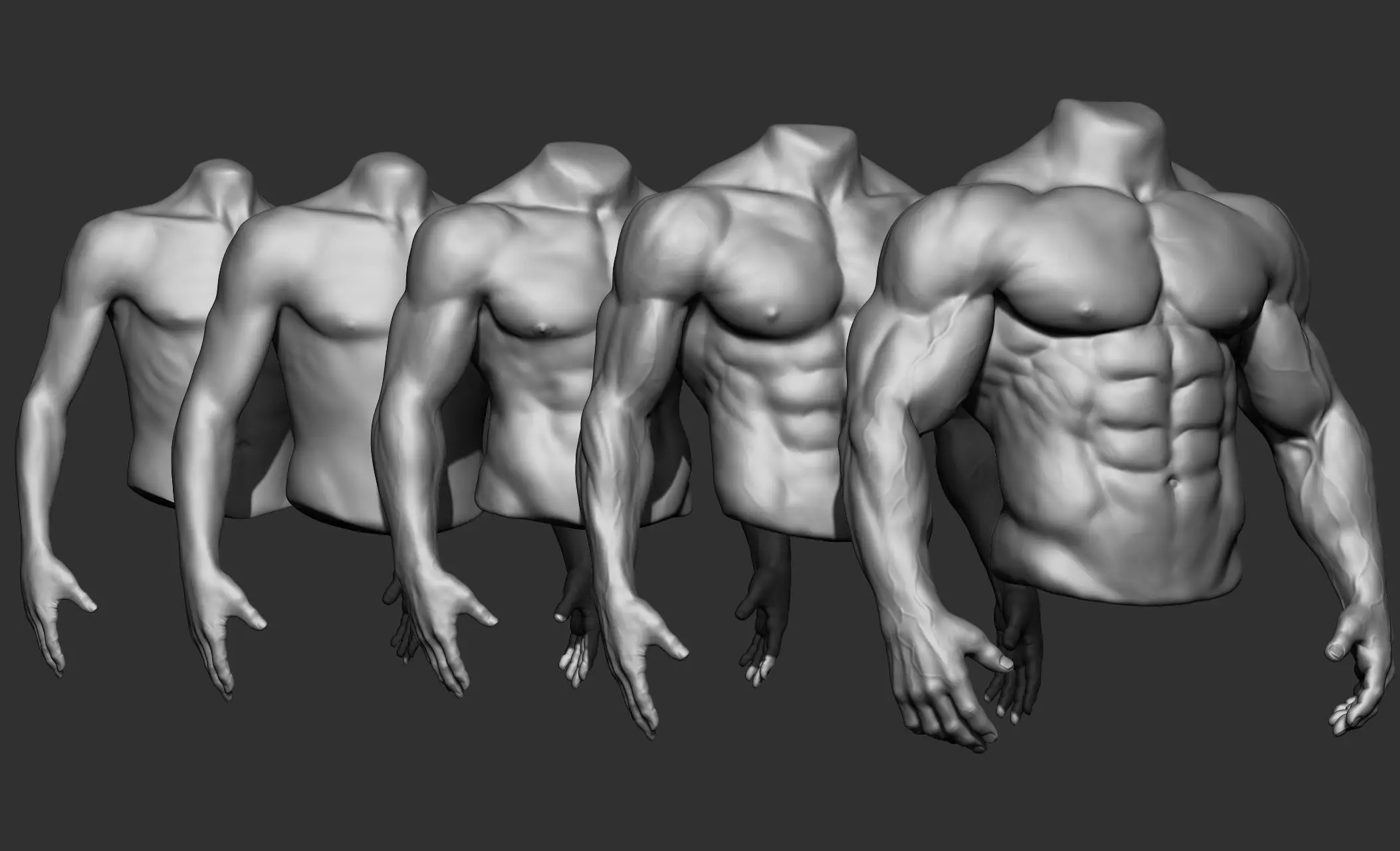 Male Torso Anatomy Study 3D model_30