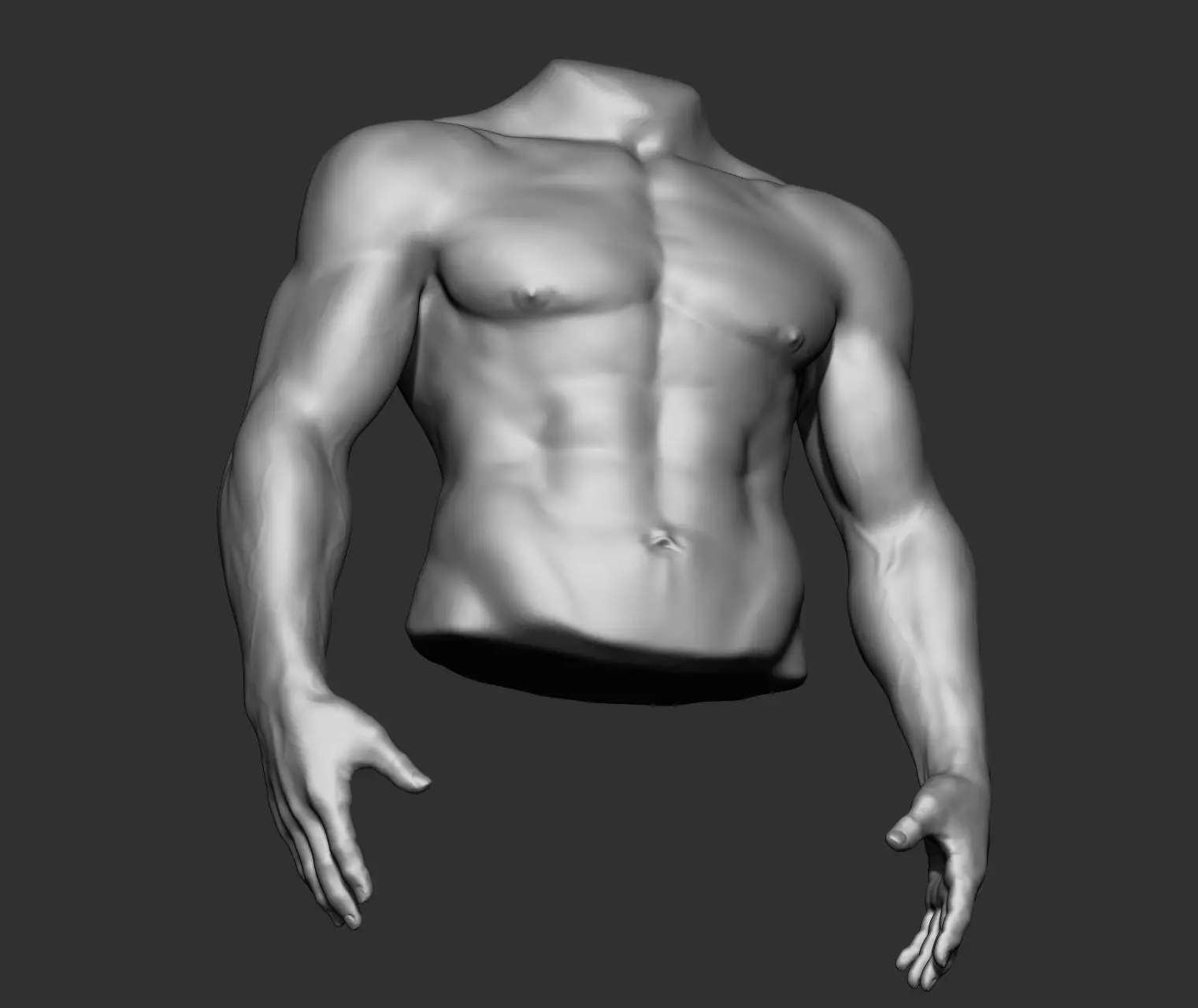 Male Torso Anatomy Study 3D model_23