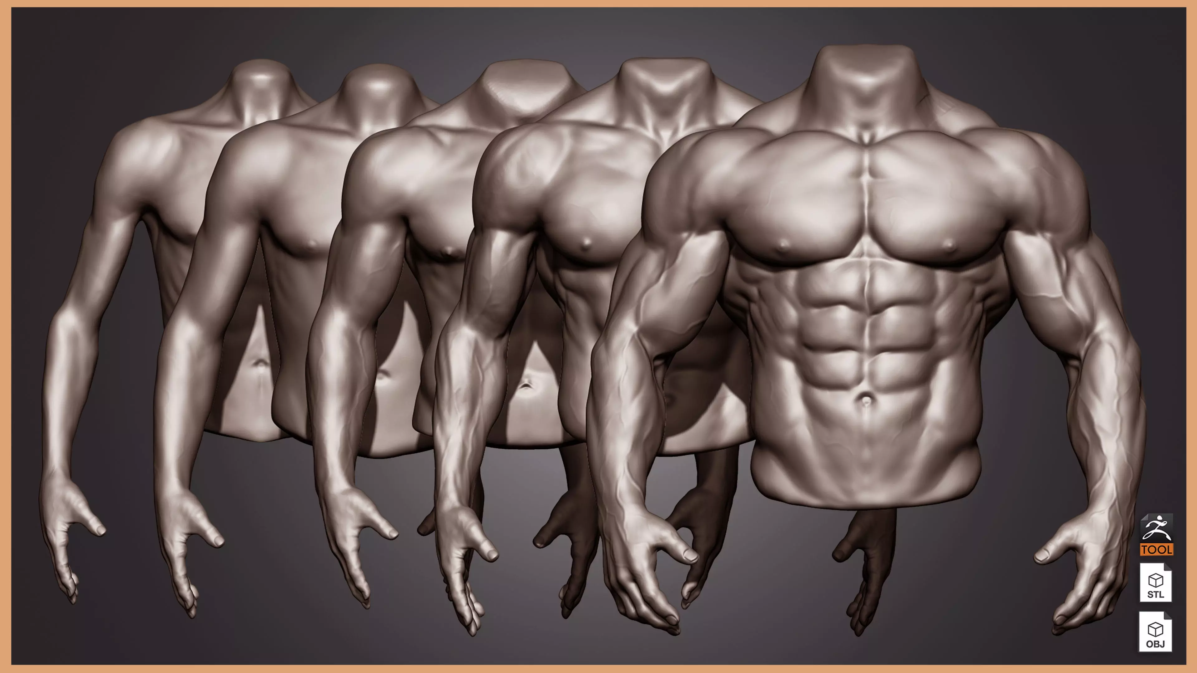 Male Torso Anatomy Study 3D model_0