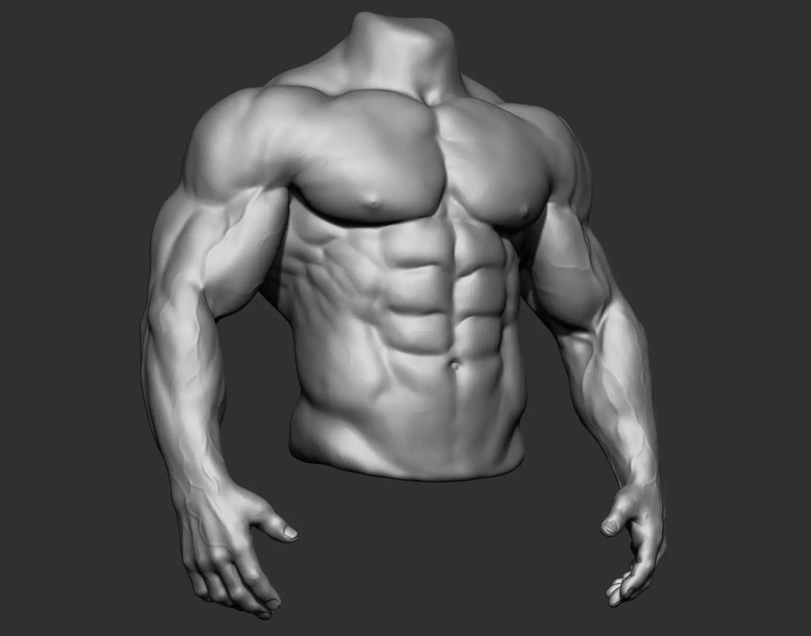 Male Torso Anatomy Study 3D model_3