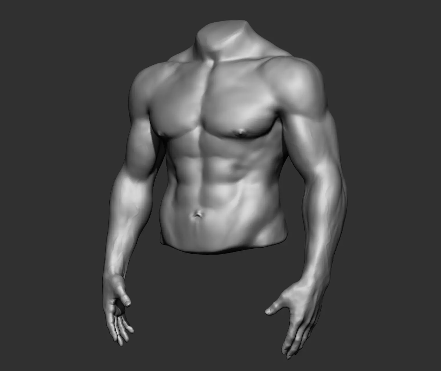 Male Torso Anatomy Study 3D model_18