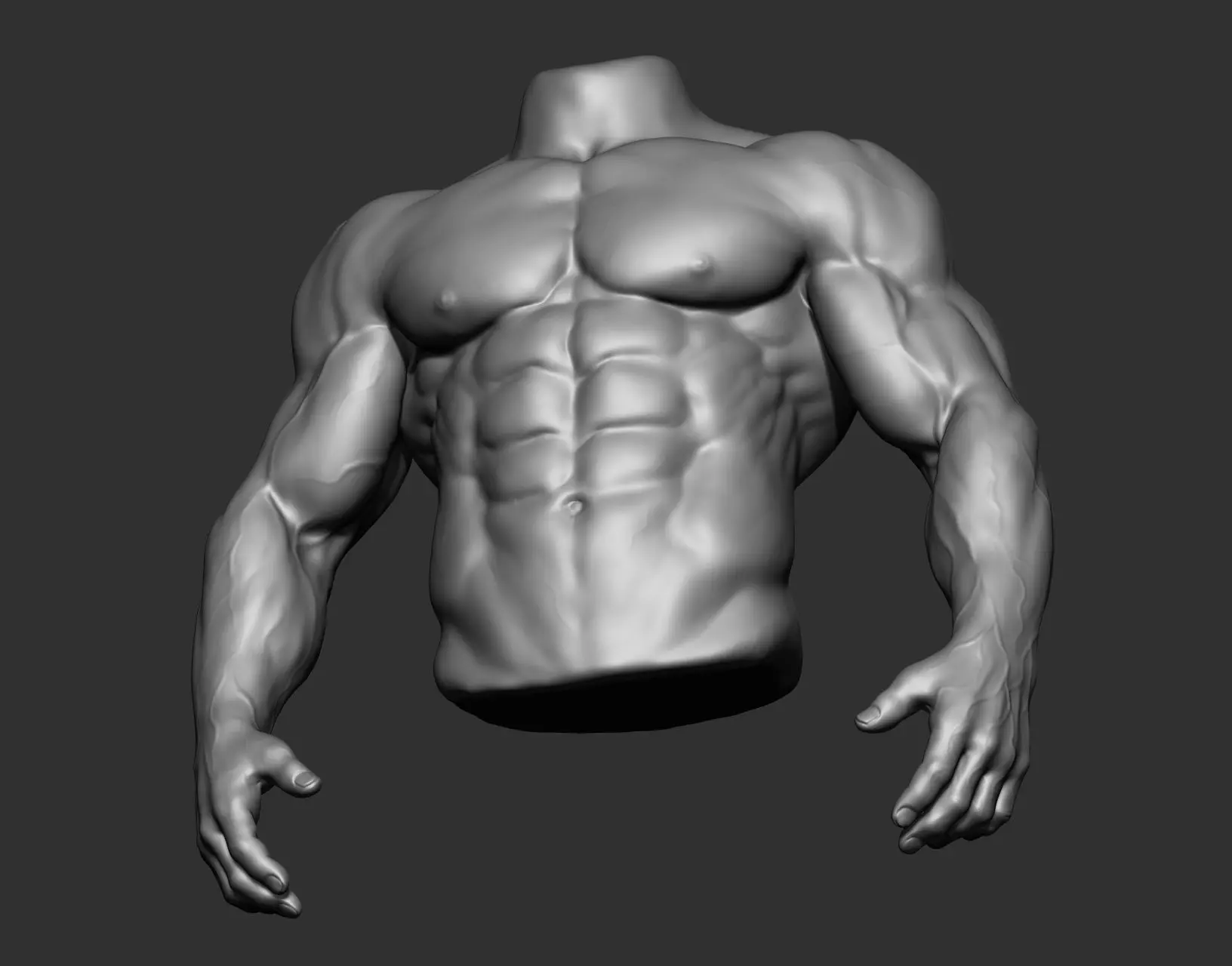 Male Torso Anatomy Study 3D model_8