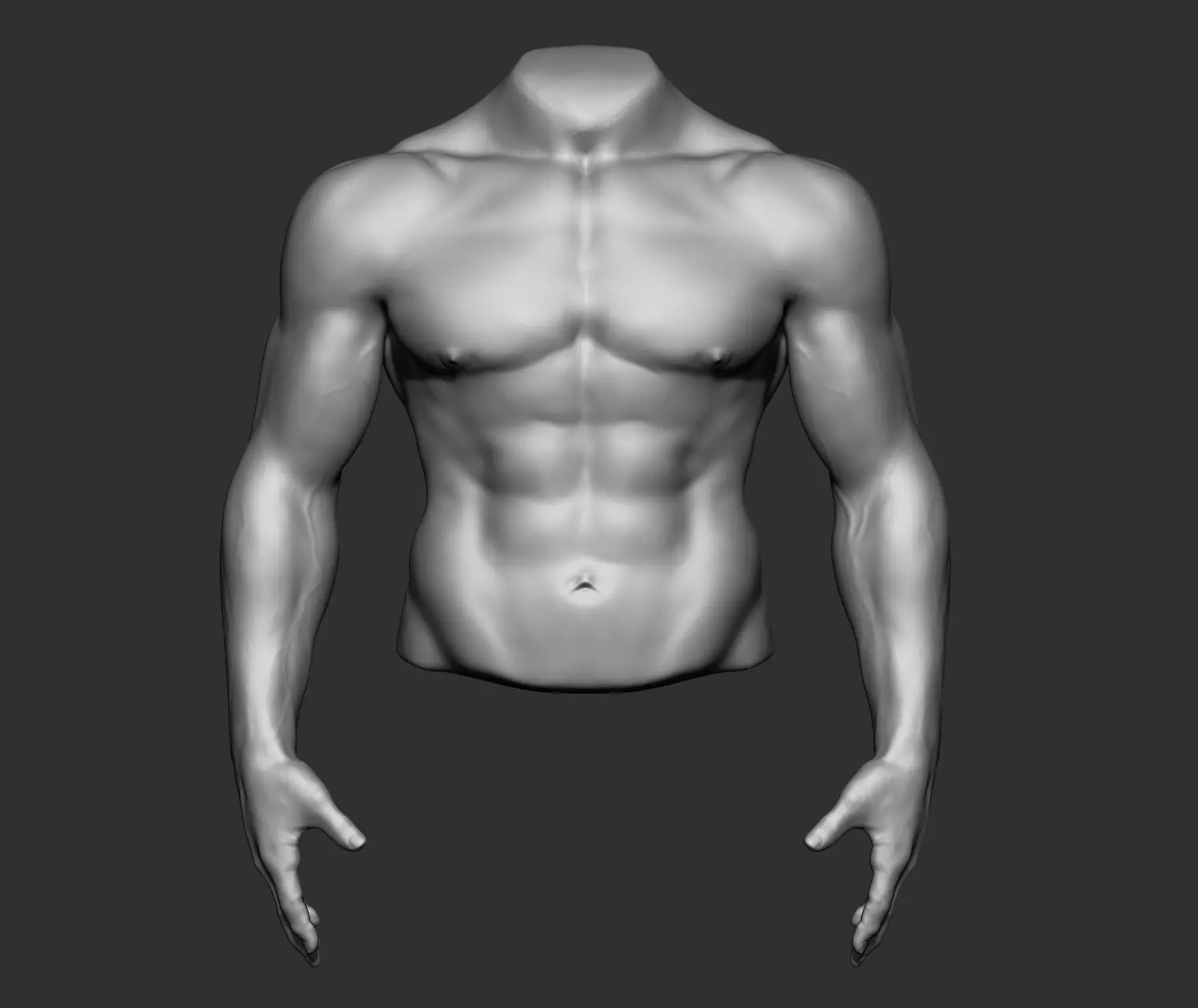 Male Torso Anatomy Study 3D model_17