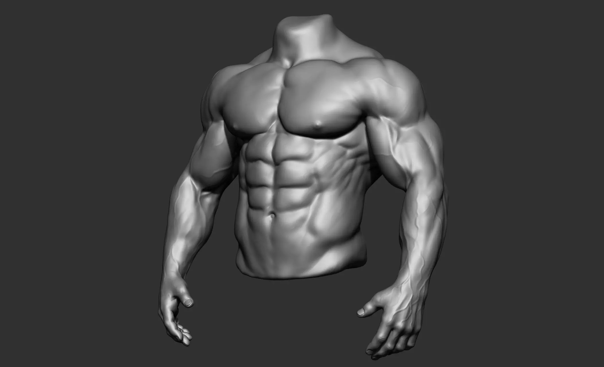 Male Torso Anatomy Study 3D model_2