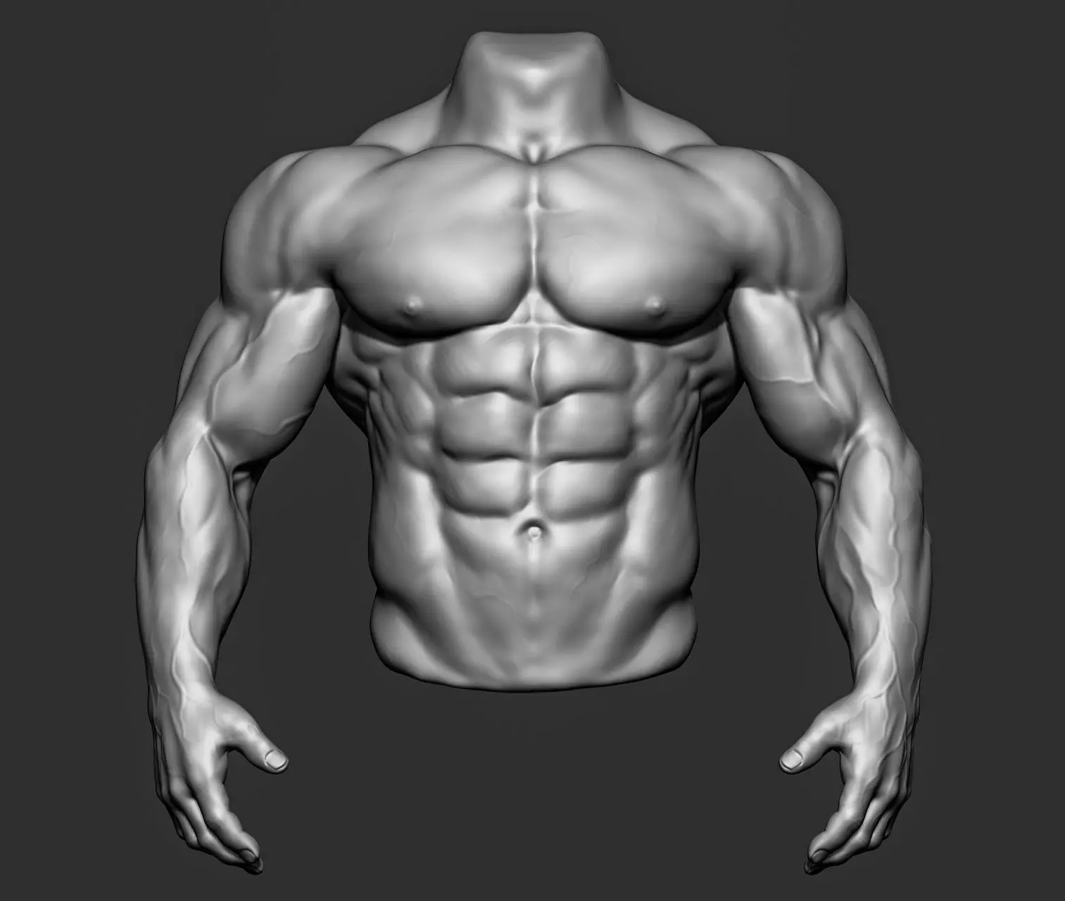 Male Torso Anatomy Study 3D model_1